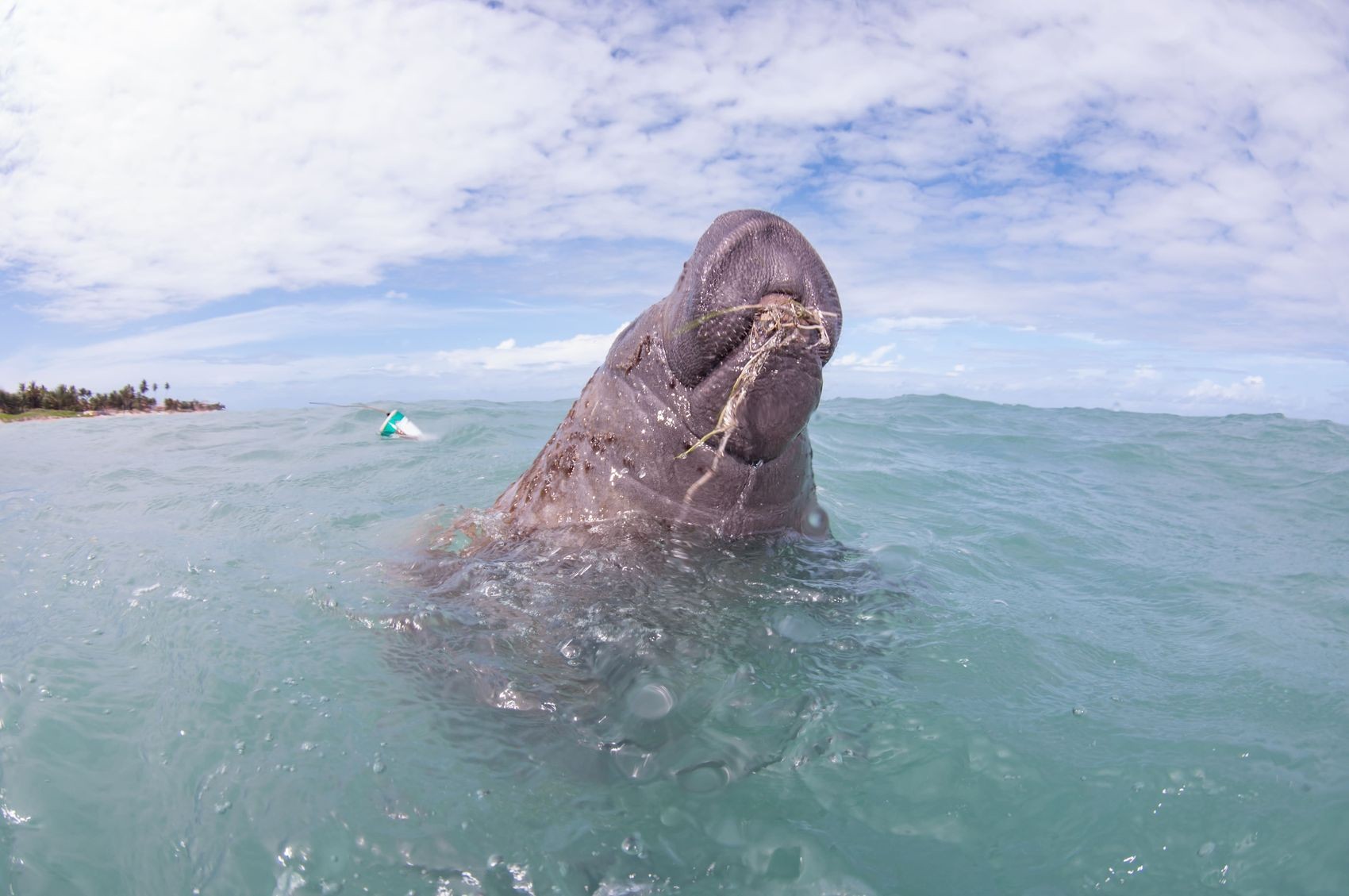 foto Not&iacute;cia Aracaju